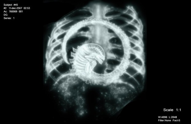 0619_alein_x_ray_by_shinyshoe