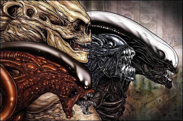 10915252_970309496342548_3125476496099731758_n