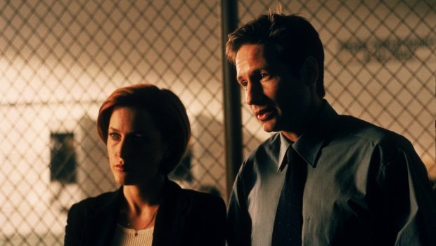 Fox-Mulder 3