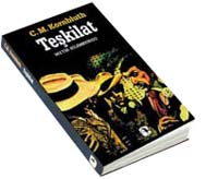 teskilat