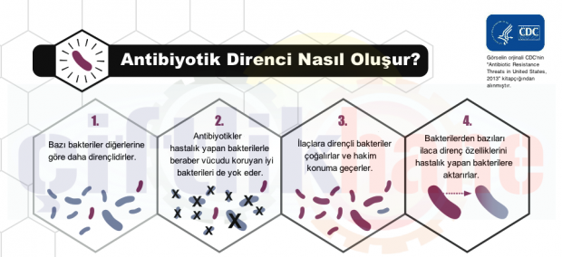 cdcantibiyotikler1tr