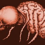 Canlıların Davranışlarını Yönlendiren Parazitler