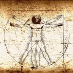 İnsan Anatomisi Mükemmel mi?