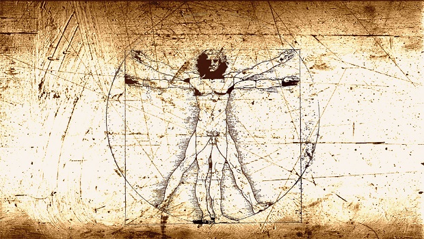 da vinci anatomi