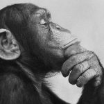 Bilimi Herkes Anlayabilir mi?