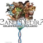 Canlı Nedir?
