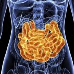 Bağırsaklarımızdaki Mikro Evren