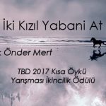 İki Kızıl Yabani At | Nur İpek Önder Mert (Kısa Öykü)