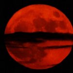 YAR\|/LMA | İsmail Yiğit (Kısa Öykü)