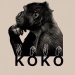 Bu Dünyadan Bir Koko Geçti…