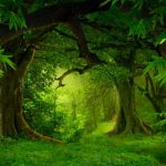 Bir Dune Hikayesi: Düğün İpeği