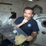 Kenevir Uzayda Nasıl İşimize Yarayabilir?