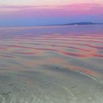 Ütopyada Bozuk Düşler | Tuğrul Sultanzade (Kısa Öykü)