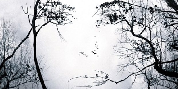 hayal gucu doga insan