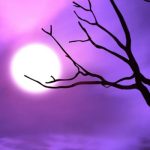 Gölgeler ve Renkler | Faruk Korkmaz (Kısa Öykü)