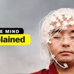 Kısa ve Etkili: The Mind, Explained