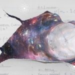 Sezgisel Matematik Zaman Yolculuğunu Yasaklıyor