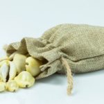 Dolardan Önce Dünya Parası Deniz Kabuğuydu