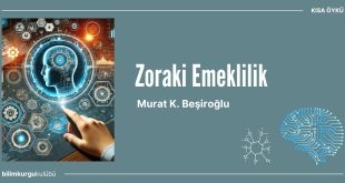 zoraki emeklilik oyku kapak