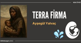 terra firma aysegul yalvac