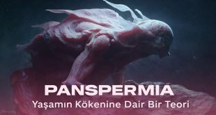 Panspermia belgesel